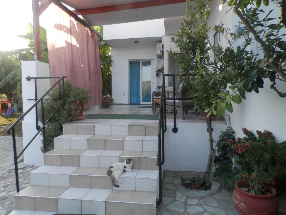 Silvi Mari Apartments Platanes  Exterior foto