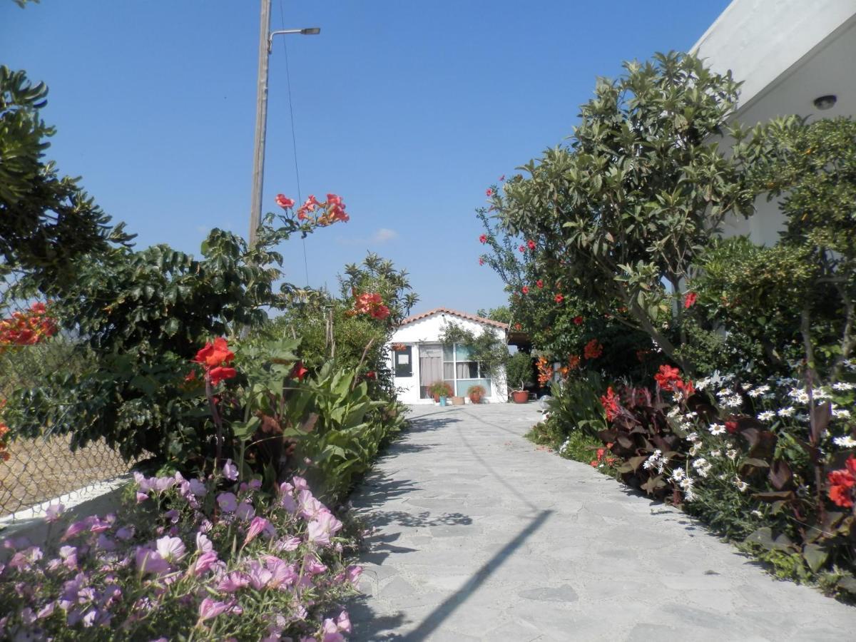 Silvi Mari Apartments Platanes  Exterior foto